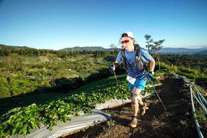 BIB: 337
                            <button type="button" onclick="openModal(19110020)" class="btn btn-primary btn-sm float-right btn-popup" data-toggle="modal" data-target=".modal-high-quality">
                        <i class="fas fa-shopping-cart"></i> Add to Cart
                    </button>
                                            <button type="button" onclick="isThisMe(19110020, true)" class="btn btn-success btn-sm float-right btn-popup btn-isme hidden" data-toggle="tooltip" data-placement="bottom" title="นี่คือรูปของคุณใช่ไหม คลิกที่นี่เพื่อเอาเข้าอัลบั้ม">
                        <i class="fas fa-plus"></i> Add to album
                    </button>
                    <button type="button" onclick="isThisMe(19110020, false)" class="btn btn-warning btn-sm float-right btn-popup btn-isnotme hidden">
                        <i class="fas fa-ban"></i> Remove from album
                    </button>